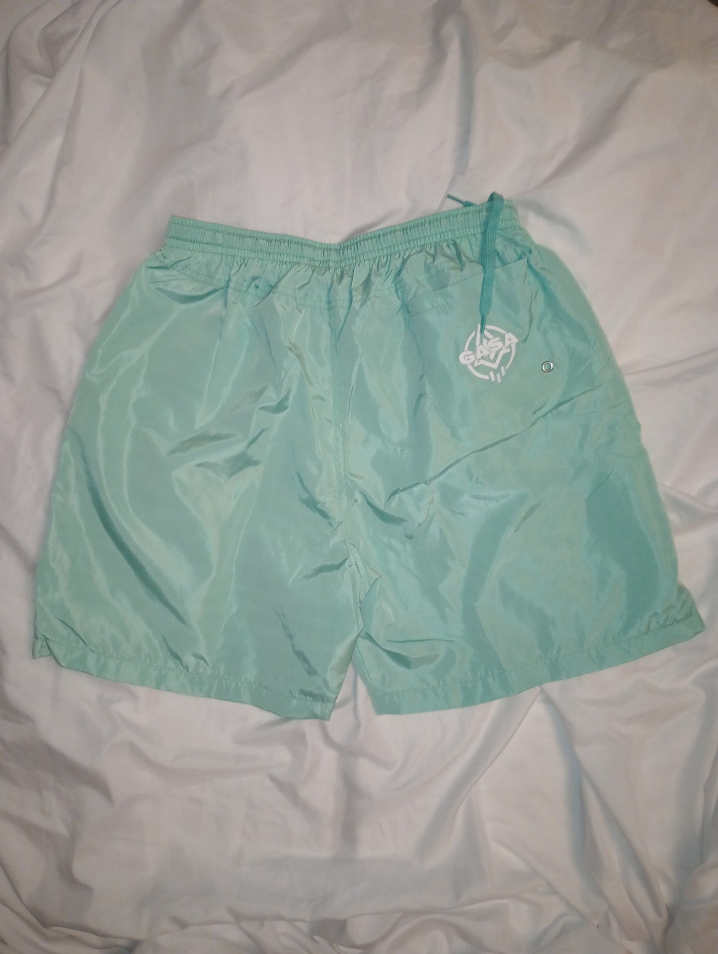 GASA Adult Swim casual shorts